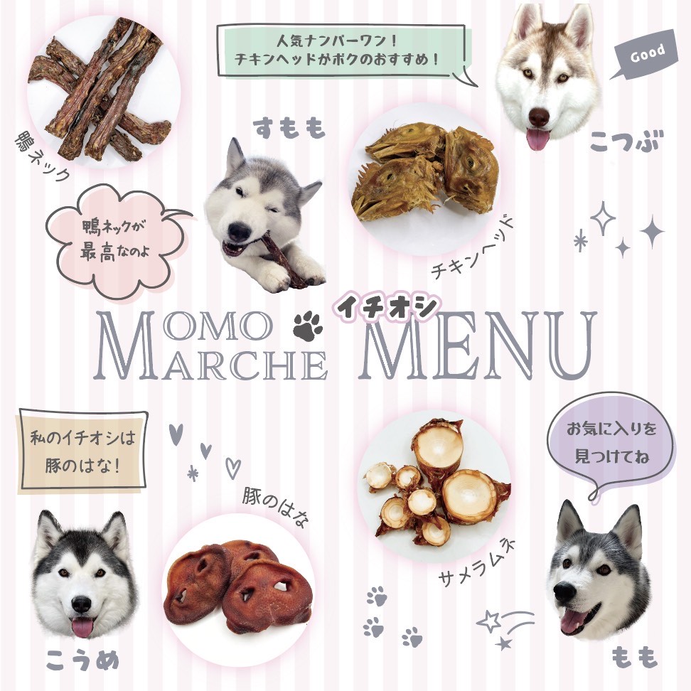 12/27（土）・28（日）ワンちゃんマルシェ「Petit Wan!」開催！ – 道の