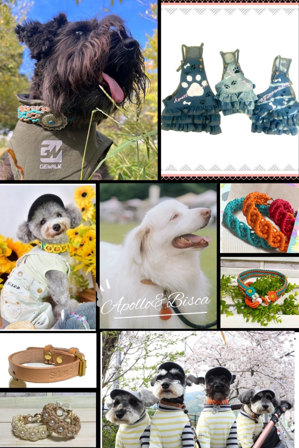 ワンコの写真 12/27（土）・28（日）ワンちゃんマルシェ「Petit Wan!」開催！ – 道の