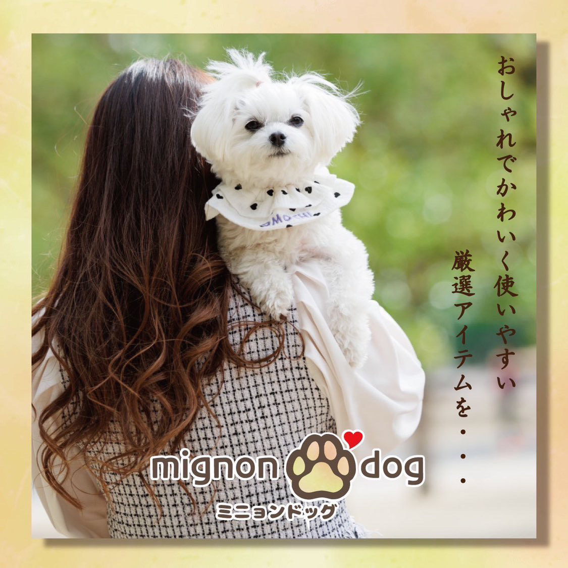 12/27（土）・28（日）ワンちゃんマルシェ「Petit Wan!」開催！ – 道の